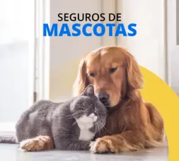 Seguro de mascotas Santalucía